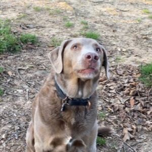 Meet your Posher, Carly